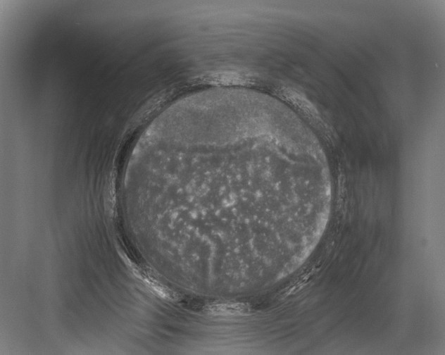 X0000081570202200702121430