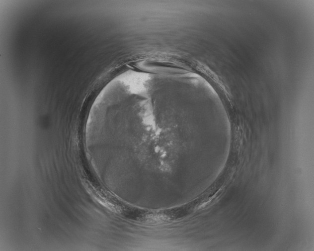 X0000081570203200702121430