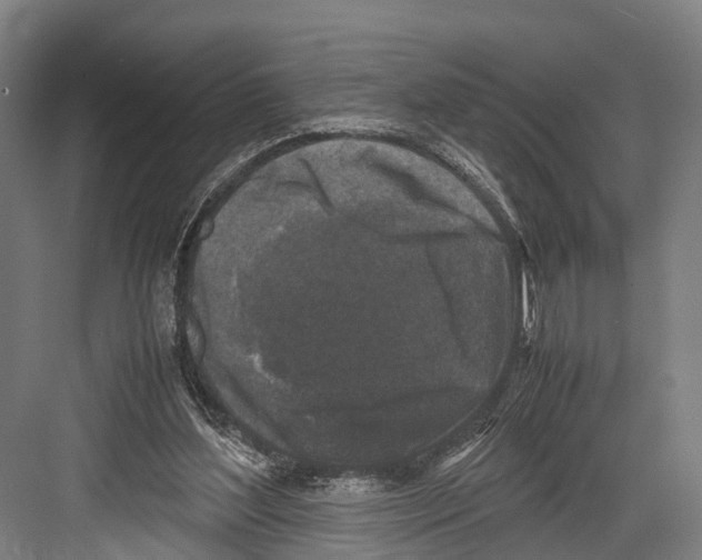 X0000081570204200702121430