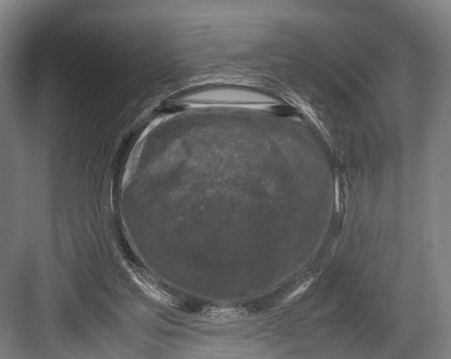 X0000081570205200702121430