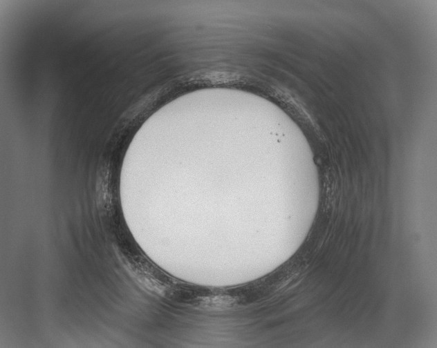 X0000081570212200702121430