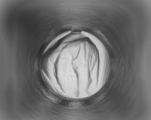 X0000081570213200702121430