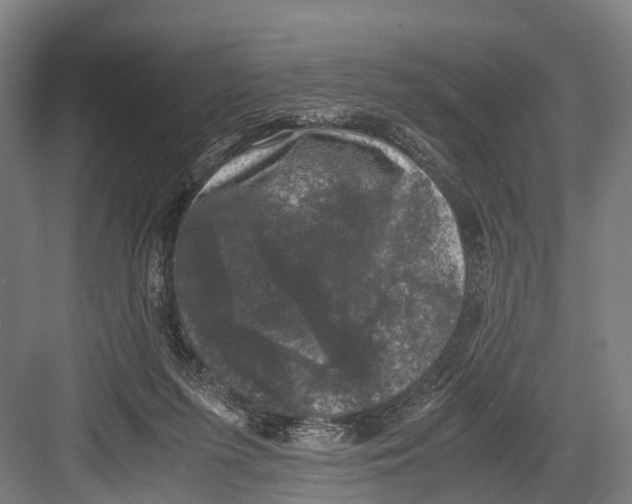 X0000081570215200702121430