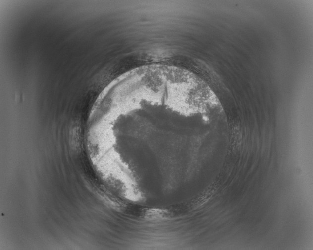 X0000081570222200702121430