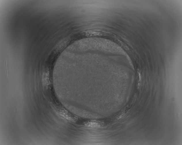 X0000081570224200702121430