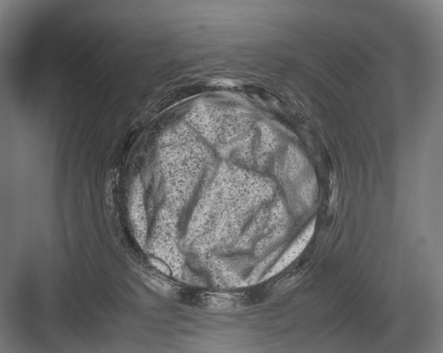 X0000081570229200702121430