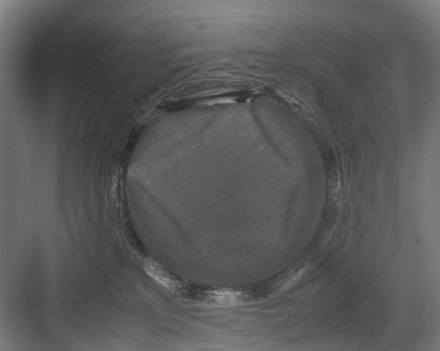 X0000081570233200702121430