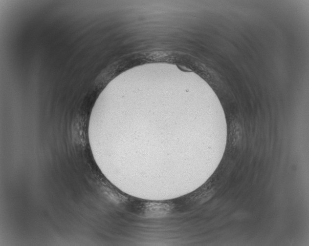 X0000081570234200702121430