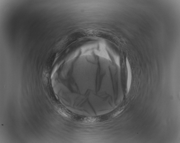 X0000081570235200702121430