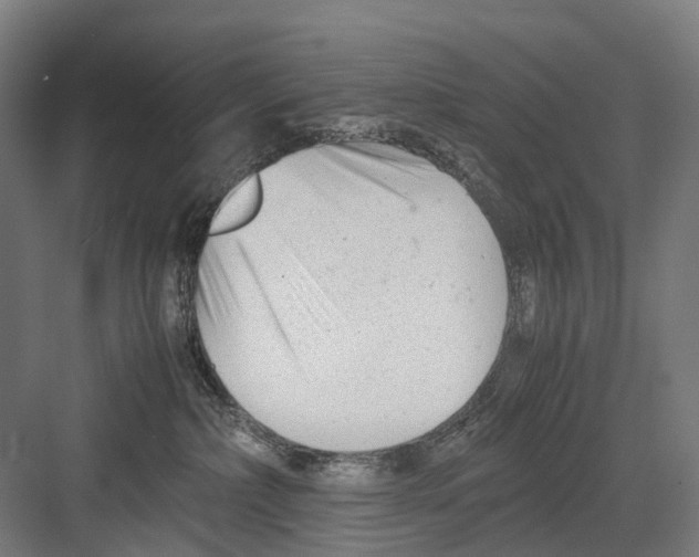 X0000081570236200702121430