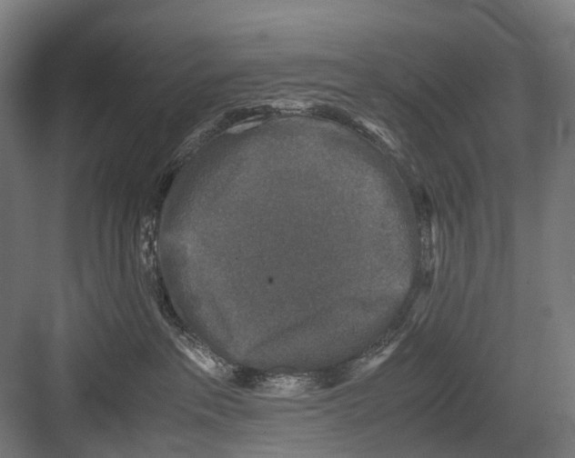 X0000081570237200702121430