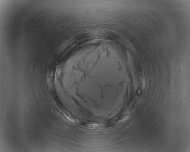 X0000081570239200702121430