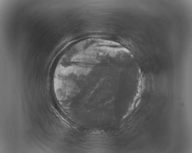 X0000081570243200702121429