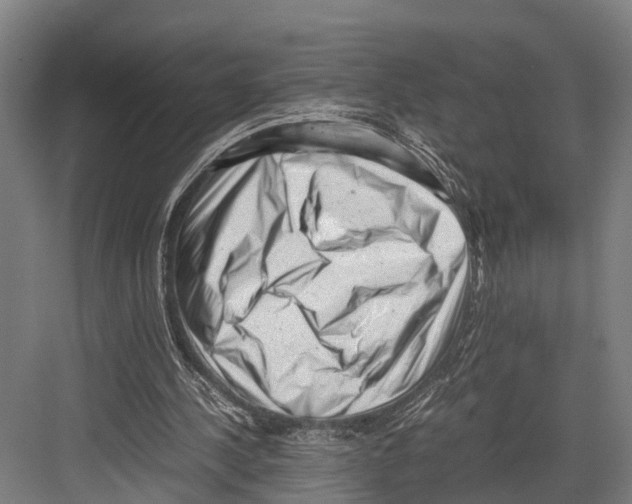 X0000081570244200702121429