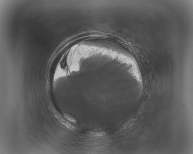 X0000081570247200702121429