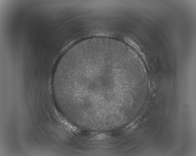 X0000081570249200702121429