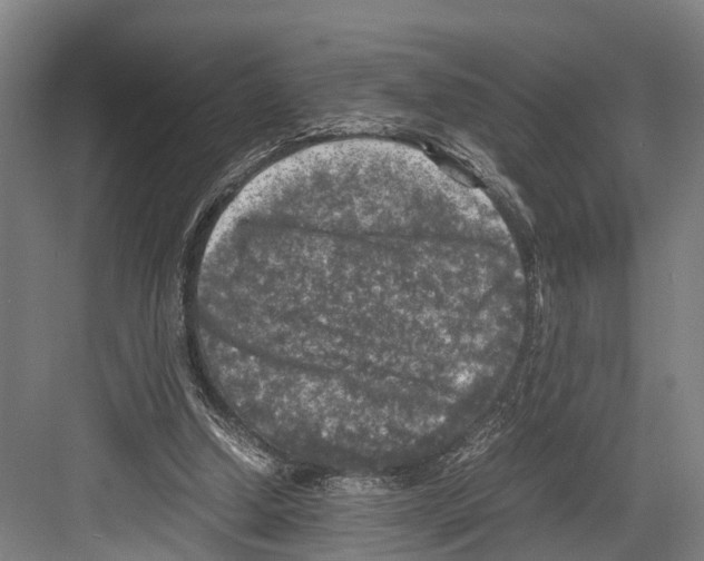 X0000081570250200702121429