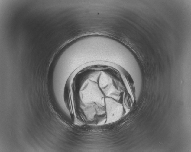 X0000081570252200702121429