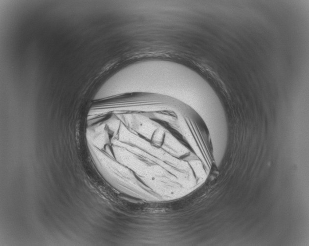 X0000081570260200702121429