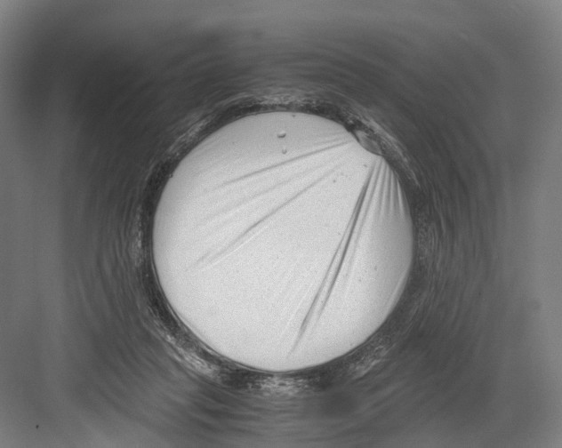 X0000081570261200702121429