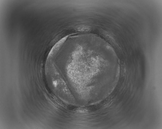 X0000081570263200702121429