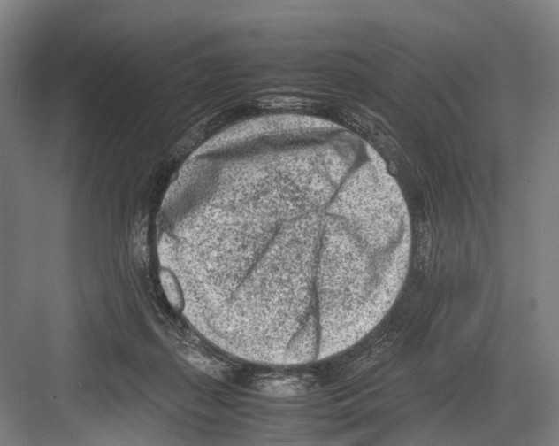 X0000081570267200702121429