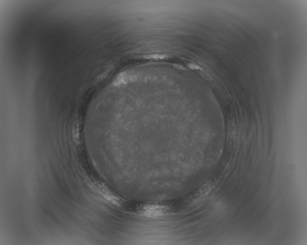 X0000081570268200702121429