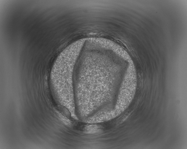 X0000081570269200702121429