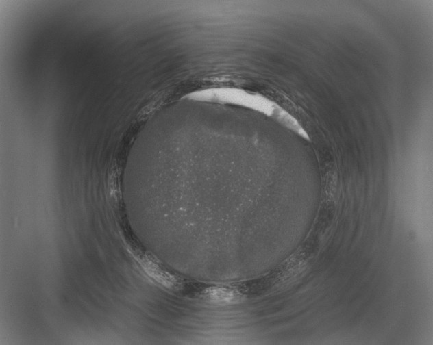 X0000081570272200702121429