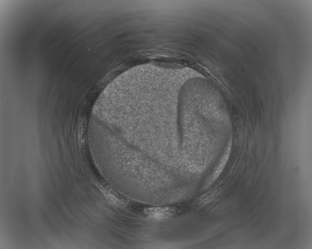 X0000081570273200702121429