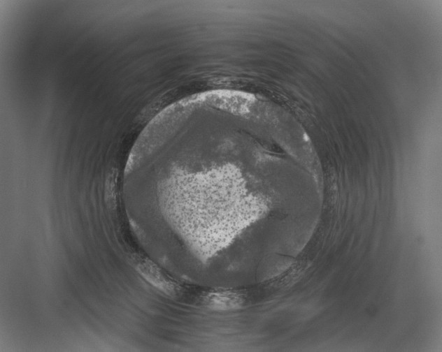 X0000081570275200702121429