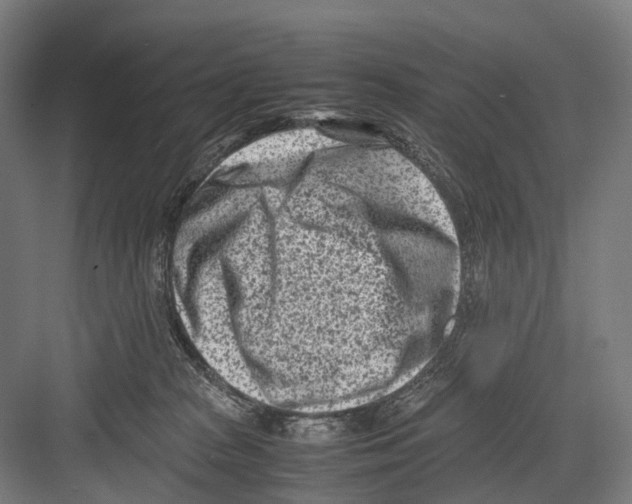 X0000081570277200702121429