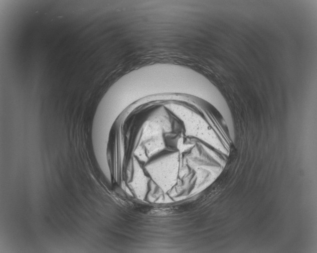 X0000081570280200702121429