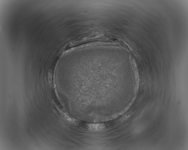 X0000081570281200702121429