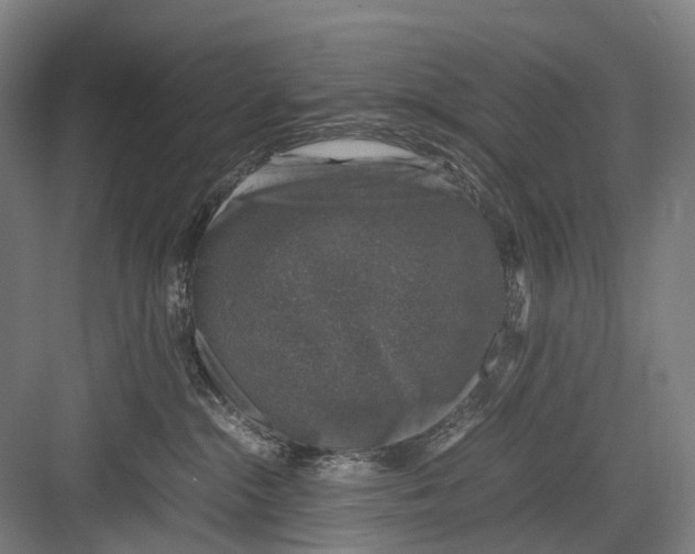 X0000081570284200702121430