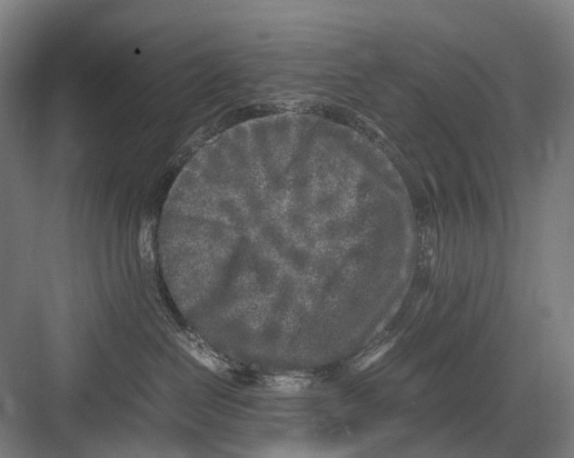 X0000081570286200702121430