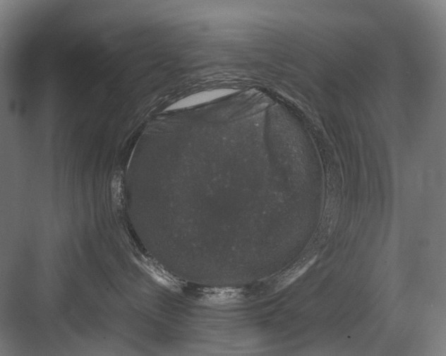 X0000081570288200702121430