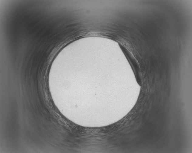 X0000081570289200702121429