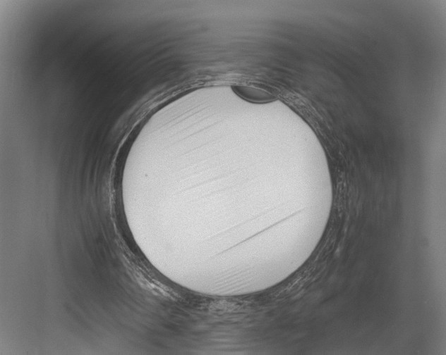 X0000081570290200702121429