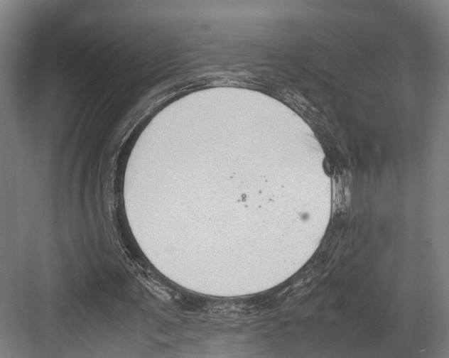 X0000081570291200702121429