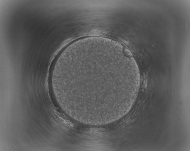 X0000081570292200702121429