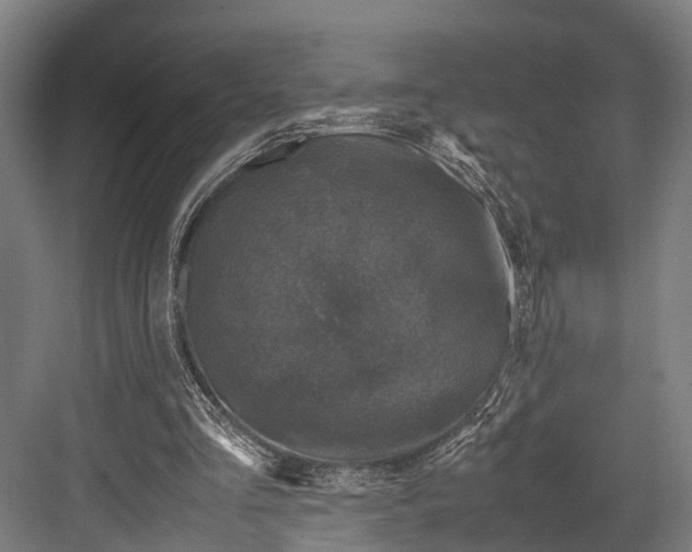 X0000081570293200702121429