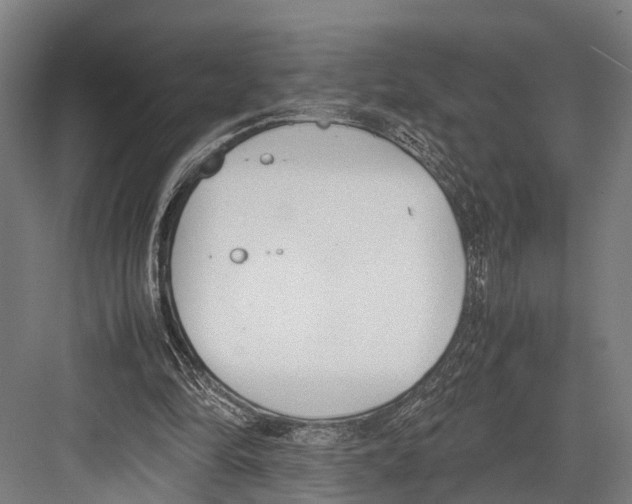 X0000081570294200702121429