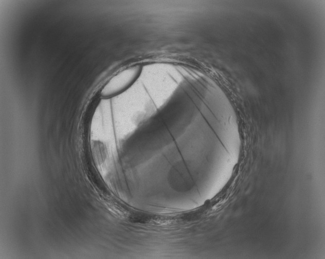 X0000081570295200702121429