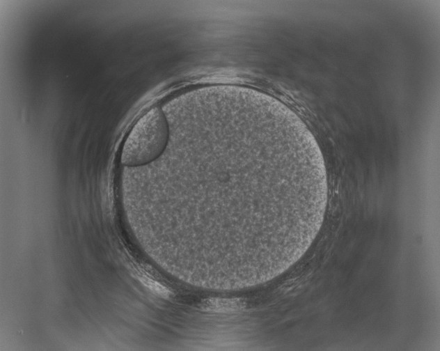 X0000081570296200702121429