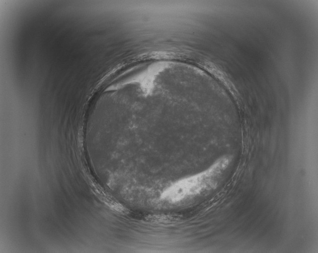 X0000081570297200702121429