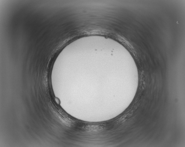 X0000081570298200702121429