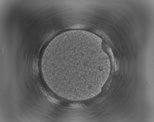 X0000081570300200702121429