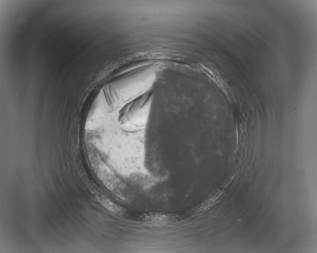 X0000081570301200702121429