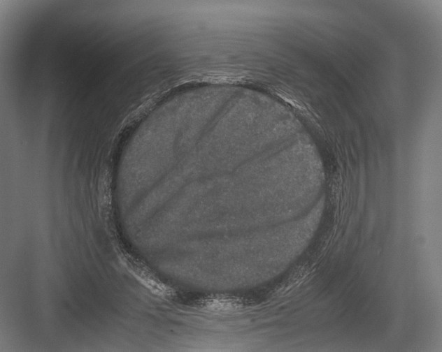 X0000081570303200702121429